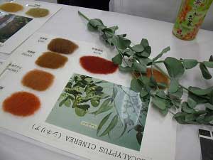 ​ユーカリ（シネリア）の生葉と染色色見本の画像