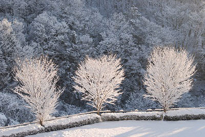 雪景色の写真1