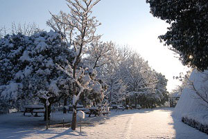 雪景色の写真2