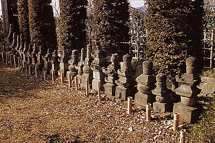 ​長野氏累代の墓の画像