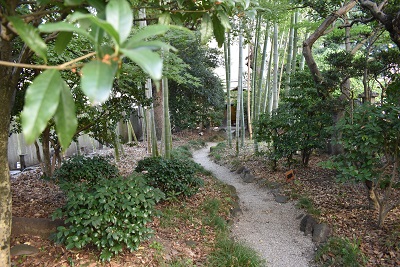 庭園南側の小道