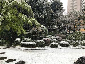 和室周辺の雪景色