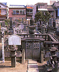 徳川忠長の墓の画像