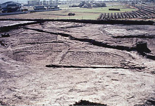 日高遺跡で発見された水田跡の画像