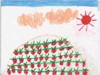園児が書いたイチゴ農園の絵1