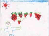 園児が書いたイチゴ農園の絵3