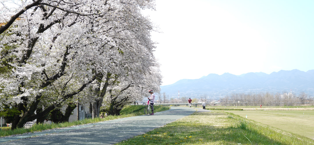 烏川サイクリングロードの画像