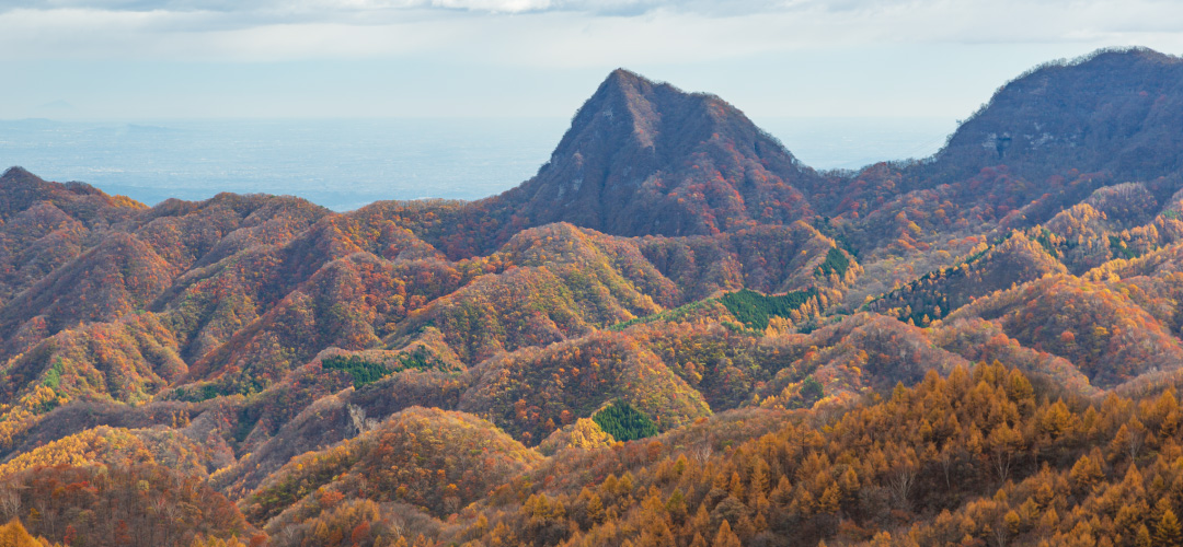二度上峠の秋の画像