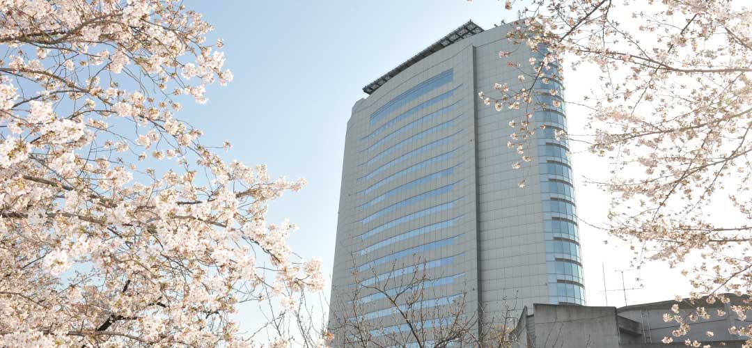 高崎市役所と桜の画像