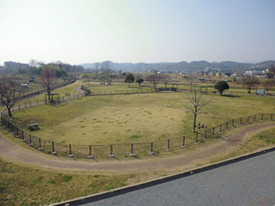 城南大橋ドッグラン全景