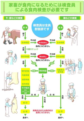 食肉検査の流れを示した図