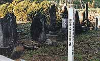 真福寺境内の石神仏群の画像