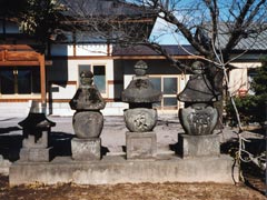 菅谷大壱寺宝塔の画像