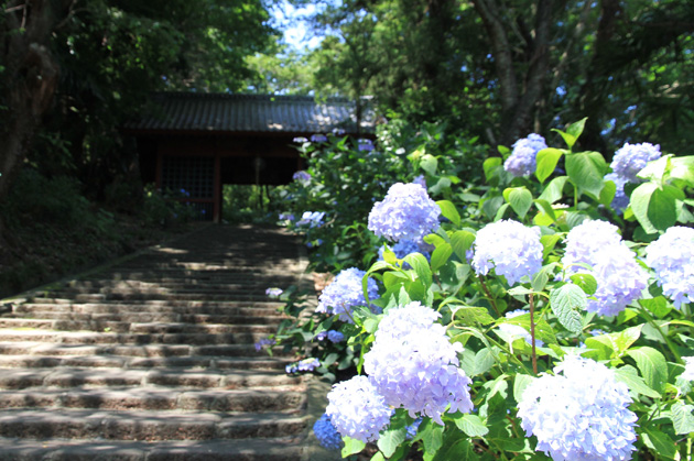 清水寺の画像