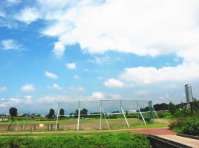 多目的運動広場　野球場の画像