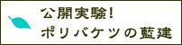 公開実験!ポリバケツの藍建