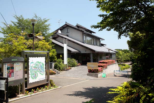 染料植物園の画像