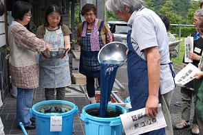 タデアイの沈殿藍づくりの画像