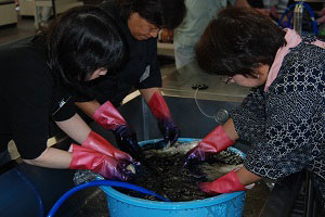 流水で酸化の画像