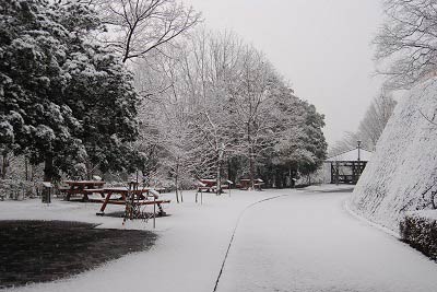 雪景色（1月20日）