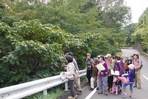 里山たんけんの様子2