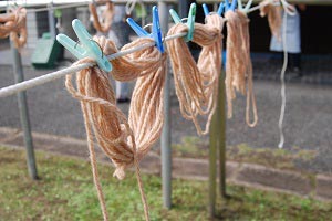 ​トチノキ無媒染で染めた毛糸の画像