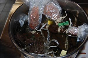 ​トチノキの鉄媒染による染色の画像