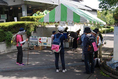 高崎観音だるまマーチの様子