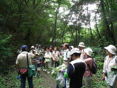 自然観察会「葉の形をくらべよう」の様子