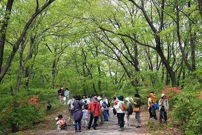 里山たんけんの様子