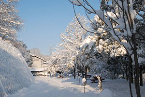 雪景色の写真3