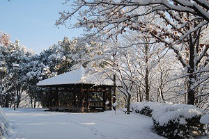 雪景色の写真4