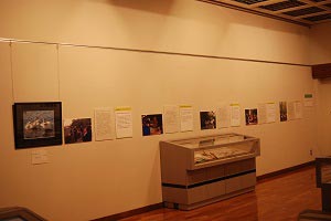 春の企画展展示4