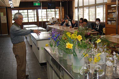 草木染・型染の様子