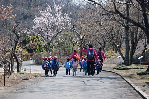 園内を散策する園児の様子