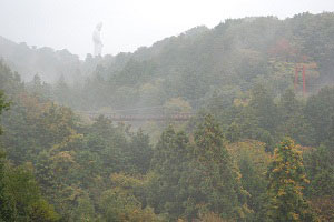 霧の観音様