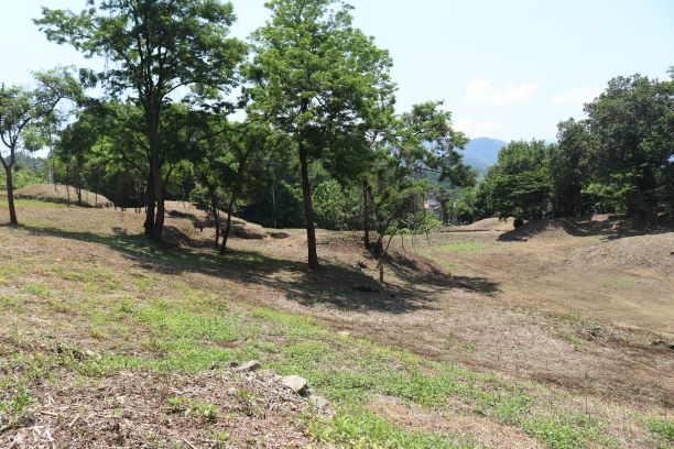 多胡古墳群　寺ノ上支群（北から）の写真