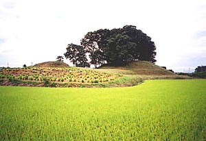 横から見た大鶴巻古墳の画像