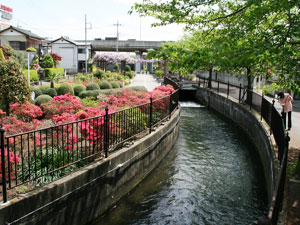 幹線水路の写真