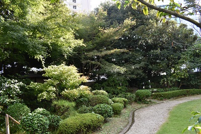 茶室前の植えこみ