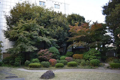 お茶室付近の庭園の紅葉の様子