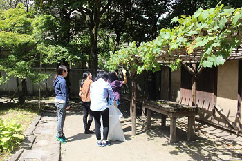 博物館実習の庭園作業の様子