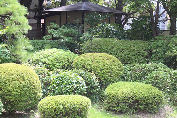 茶室とその前にある植物