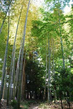 仏間への通路