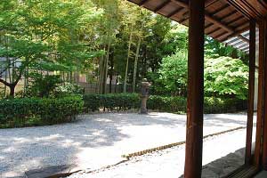 居間から見た景色