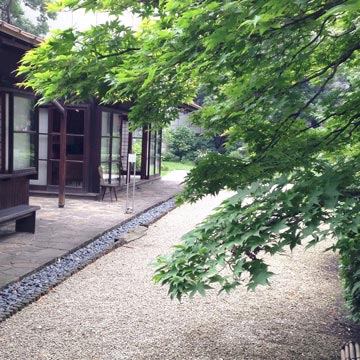 2014年7月楓