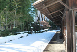 旧井上邸の庭　雪景色