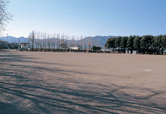 ​入野遺跡の画像