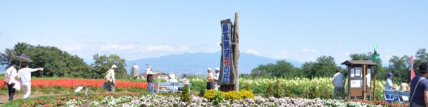 鼻高展望鼻の丘の風景