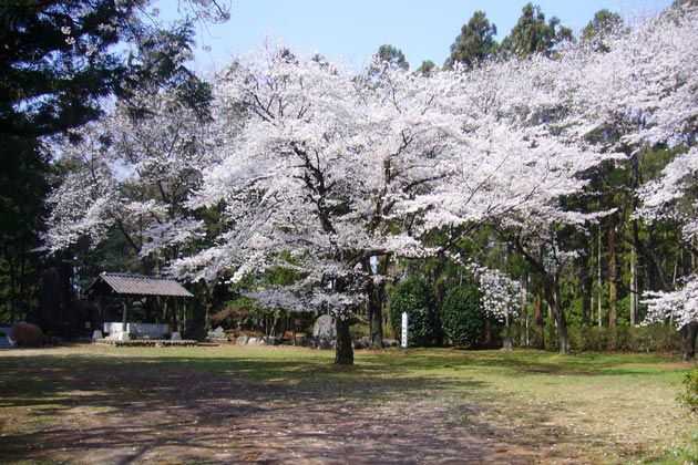 箕輪城跡画像